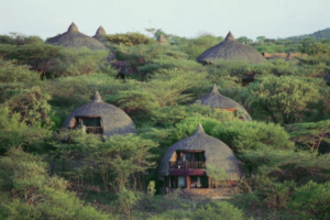 hospitality personified Serena Serengeti