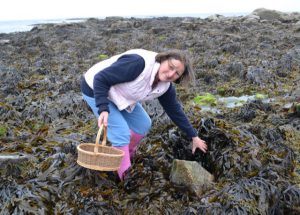 Fiona Bird gathering seaweed at Askemish.
